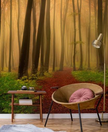 Papier peint Forêt d'automne