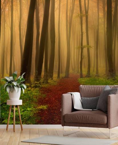 Papel de parede floresta outono