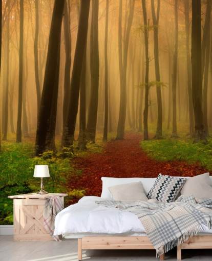 Papel de parede floresta outono