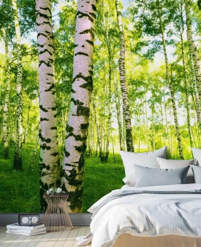 Silver Birch Tapete Silver Birch Tapete