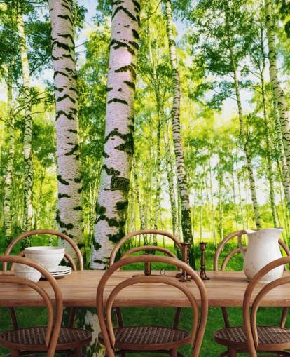 Silver Birch Wallpaper