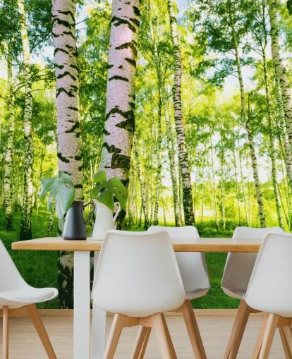 Silver Birch Tapete Silver Birch Tapete