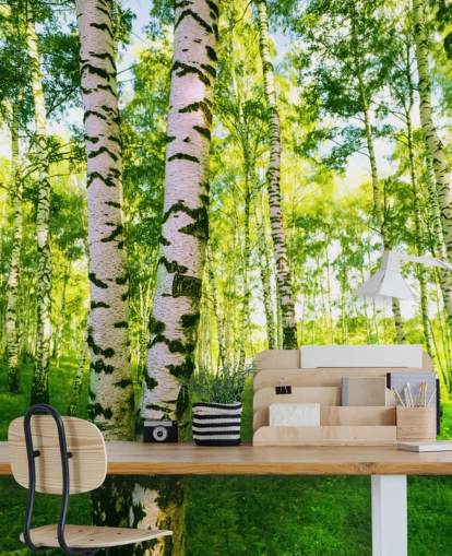 Papier peint Silver Birch