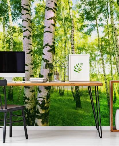 Silver Birch Wallpaper