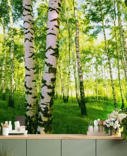 Papier peint Silver Birch