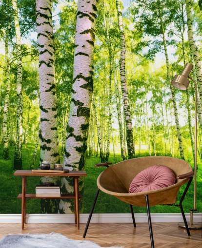 Papier peint Silver Birch