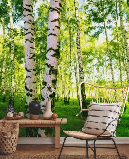 Silver Birch Wallpaper