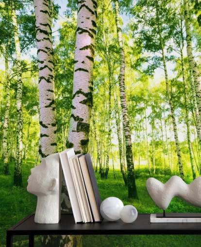 Silver Birch Wallpaper Silver Birch Wallpaper