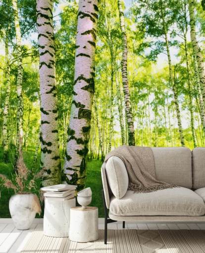 Silver Birch Wallpaper
