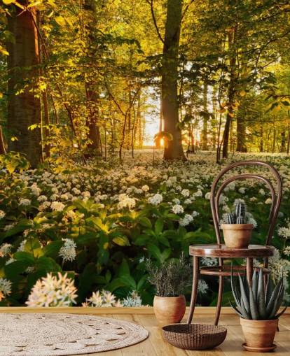 green customisable forest wallpaper mural called Beautiful Sunlit Forest for bedrooms and living rooms