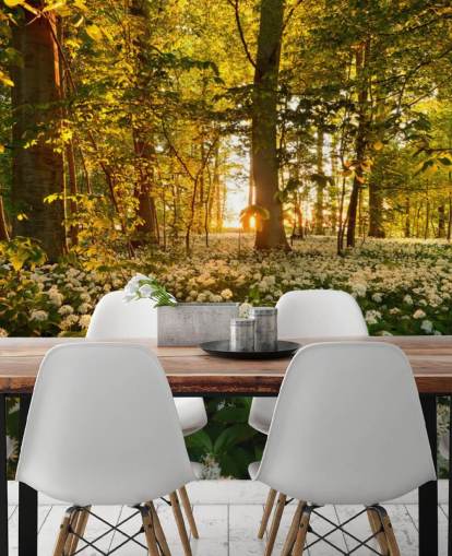 mural verde personalizable de papel pintado de bosque llamado Beautiful Sunlit Forest para dormitorios y salas de estar mural verde personalizable de papel pintado de bosque llamado Beautiful Sunlit Forest para dormitorios y salas de estar