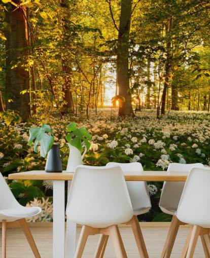 green customisable forest wallpaper mural called Beautiful Sunlit Forest for bedrooms and living rooms