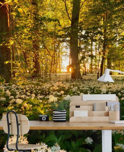 mural de papel de parede florestal verde personalizável chamado Beautiful Sunlit Forest para quartos e salas de estar