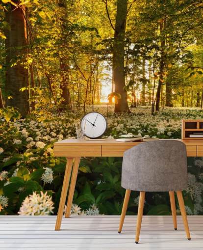 carta da parati murale verde personalizzabile chiamata Beautiful Sunlit Forest per camere da letto e salotti