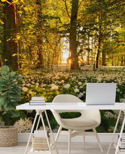 carta da parati murale verde personalizzabile chiamata Beautiful Sunlit Forest per camere da letto e salotti