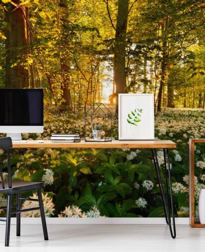 green customisable forest wallpaper mural called Beautiful Sunlit Forest for bedrooms and living rooms