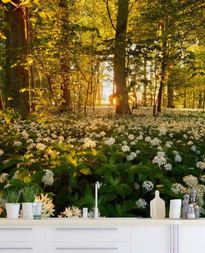 groene aanpasbare bosbehangmuurschildering genaamd Beautiful Sunlit Forest voor slaapkamers en woonkamers