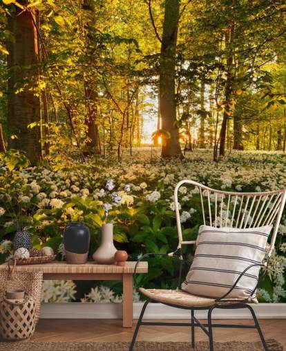 green customisable forest wallpaper mural called Beautiful Sunlit Forest for bedrooms and living rooms