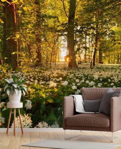 groene aanpasbare bosbehangmuurschildering genaamd Beautiful Sunlit Forest voor slaapkamers en woonkamers