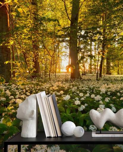 green customizable forest wallpaper mural called Beautiful Sunlit Forest for bedrooms and living rooms