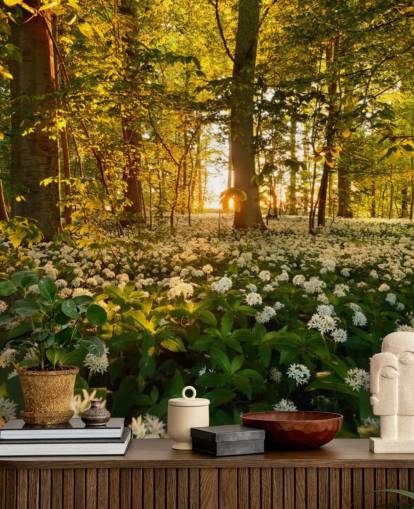 green customisable forest wallpaper mural called Beautiful Sunlit Forest for bedrooms and living rooms