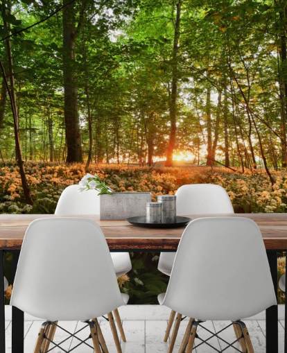 Wild Garlic Forest Floor Wallpaper