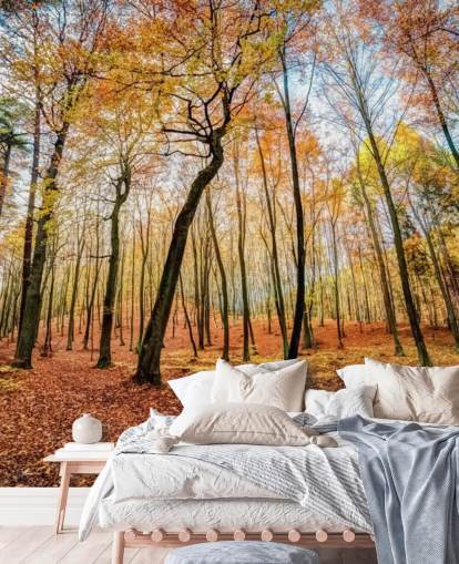 Papier peint de la forêt de feuilles d'automne rouges