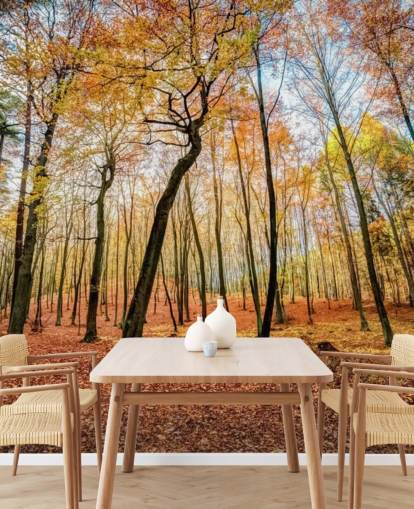 Waldtapete mit roten Herbstblättern