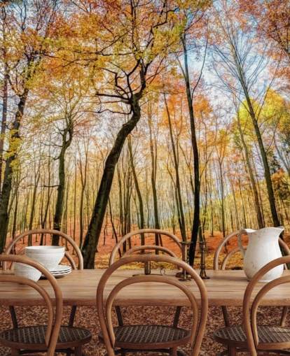 Fondo de pantalla de bosque de hojas de otoño rojas