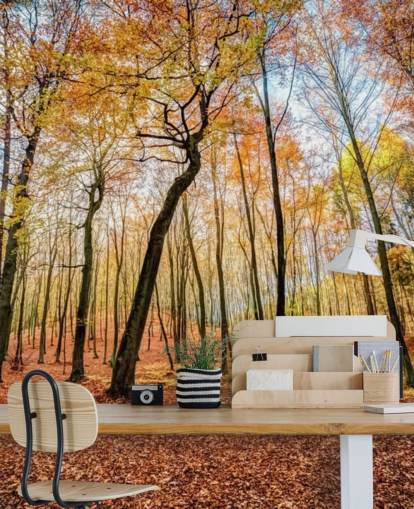 Fondo de pantalla de bosque de hojas de otoño rojas