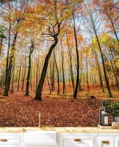 Waldtapete mit roten Herbstblättern Waldtapete mit roten Herbstblättern