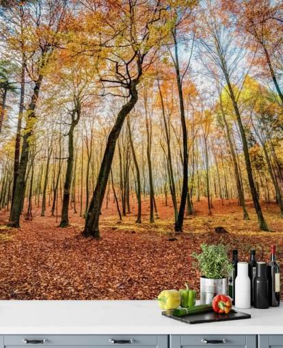 Papel de parede vermelho da floresta de folhas de outono