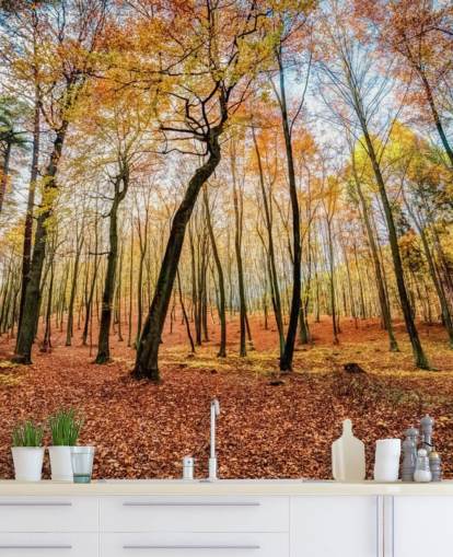 Red Autumn Leaves Forest Wallpaper