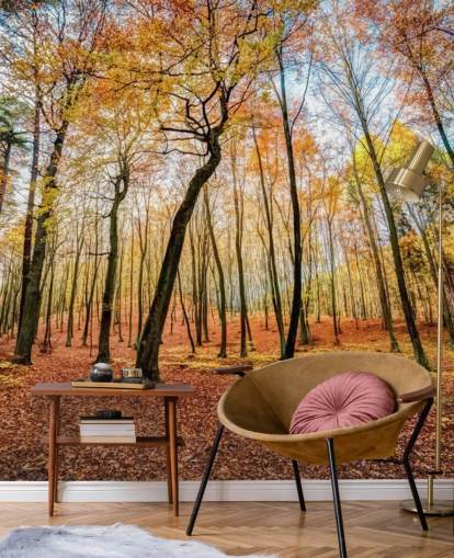 Red Autumn Leaves Forest Wallpaper