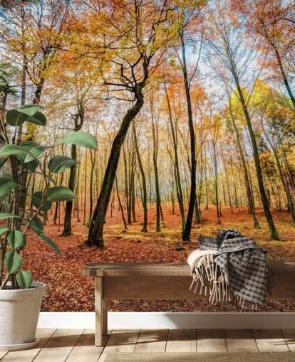 Red Autumn Leaves Forest Wallpaper