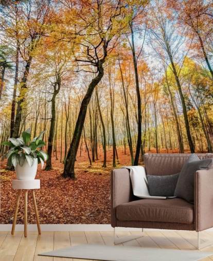 Fondo de pantalla de bosque de hojas de otoño rojas