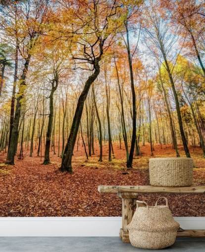 Fondo de pantalla de bosque de hojas de otoño rojas
