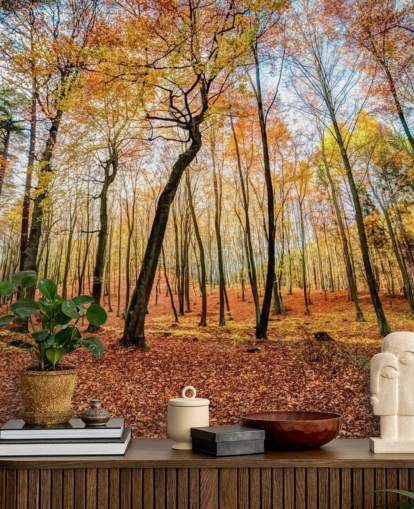 Fondo de pantalla de bosque de hojas de otoño rojas