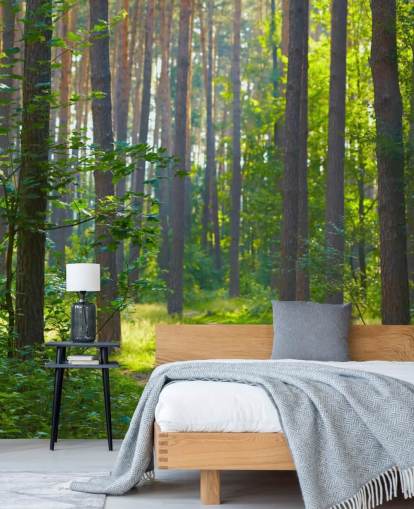 mural de papel de parede florestal personalizado verde chamado Forest Sunrise para salas de estar ou quartos