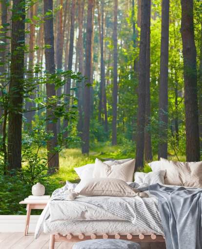 mural verde personalizado de papel pintado de bosque llamado Forest Sunrise para salas de estar o dormitorios