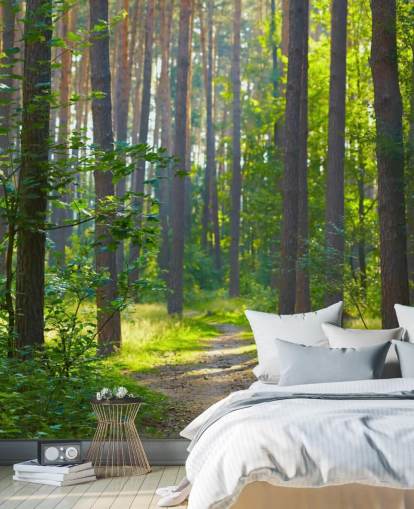 mural verde personalizado de papel pintado de bosque llamado Forest Sunrise para salas de estar o dormitorios