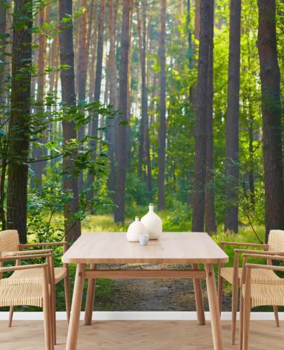 papier peint mural vert personnalisé en forme de forêt appelé Forest Sunrise pour les salons ou les chambres