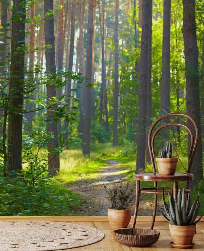 groene op maat gemaakte bosbehangmuurschildering genaamd Forest Sunrise voor woonkamers of slaapkamers