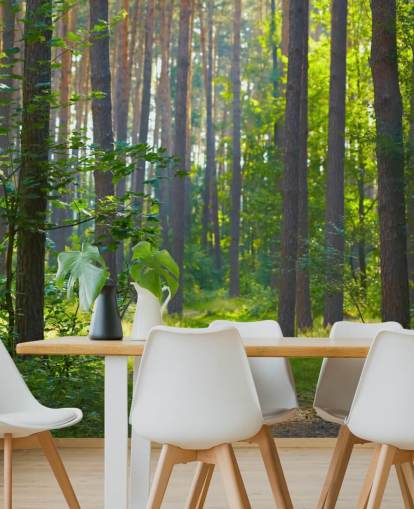 green custom forest wallpaper mural called Forest Sunrise for living rooms or bedrooms