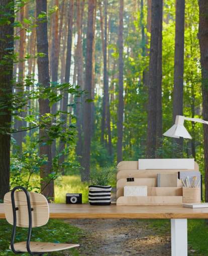 groene op maat gemaakte bosbehangmuurschildering genaamd Forest Sunrise voor woonkamers of slaapkamers