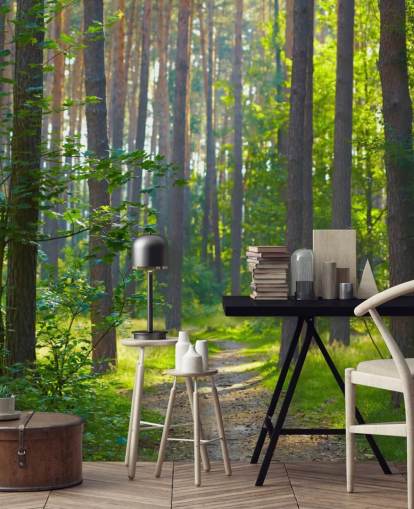 papier peint mural vert personnalisé en forme de forêt appelé Forest Sunrise pour les salons ou les chambres papier peint mural vert personnalisé en forme de forêt appelé Forest Sunrise pour les salons ou les chambres