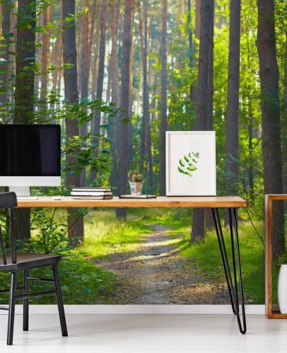 grønt tilpasset skogtapet veggmaleri kalt Forest Sunrise for stuer eller soverom