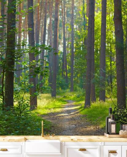 green custom forest wallpaper mural called Forest Sunrise for living rooms or bedrooms