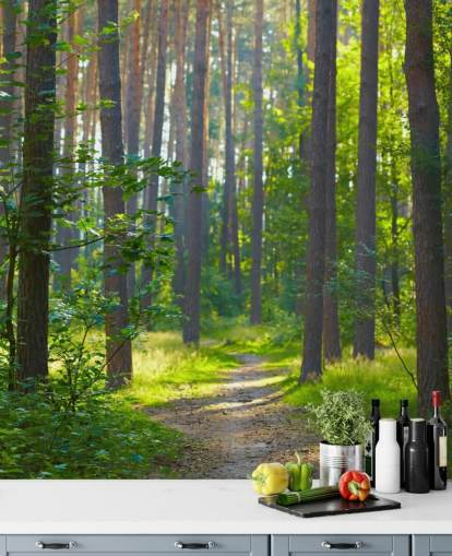 green custom forest wallpaper mural called Forest Sunrise for living rooms or bedrooms