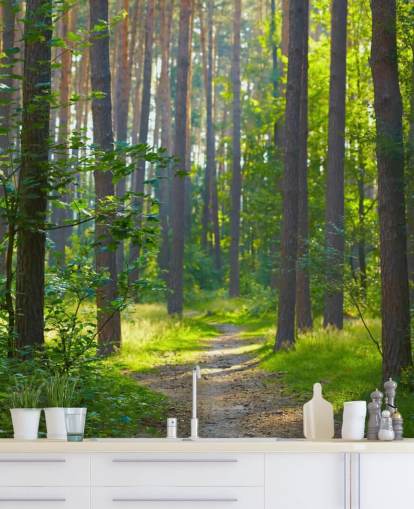 green custom forest wallpaper mural called Forest Sunrise for living rooms or bedrooms